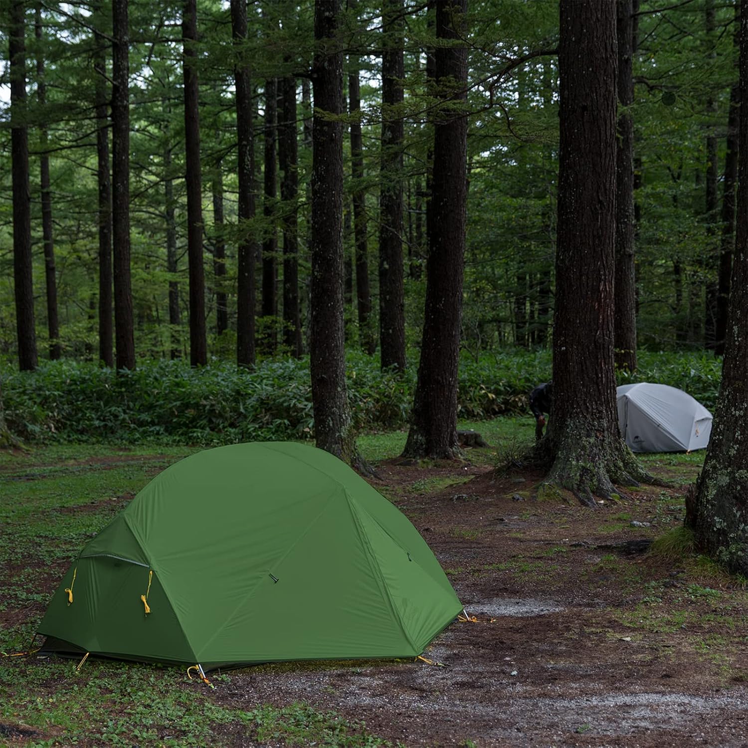 2-Person 3-Season Backpacking Tent with Footprint